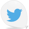 Share on Twitter twitter